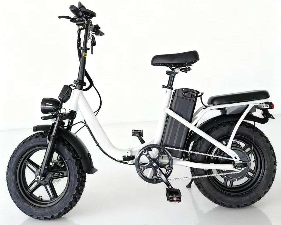 AH-X6 folding ebike popular in US & EU