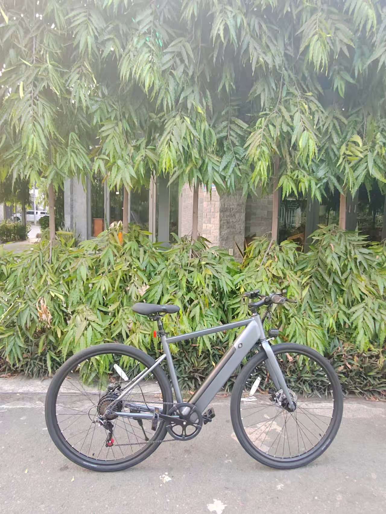AH-S150-L road ebike