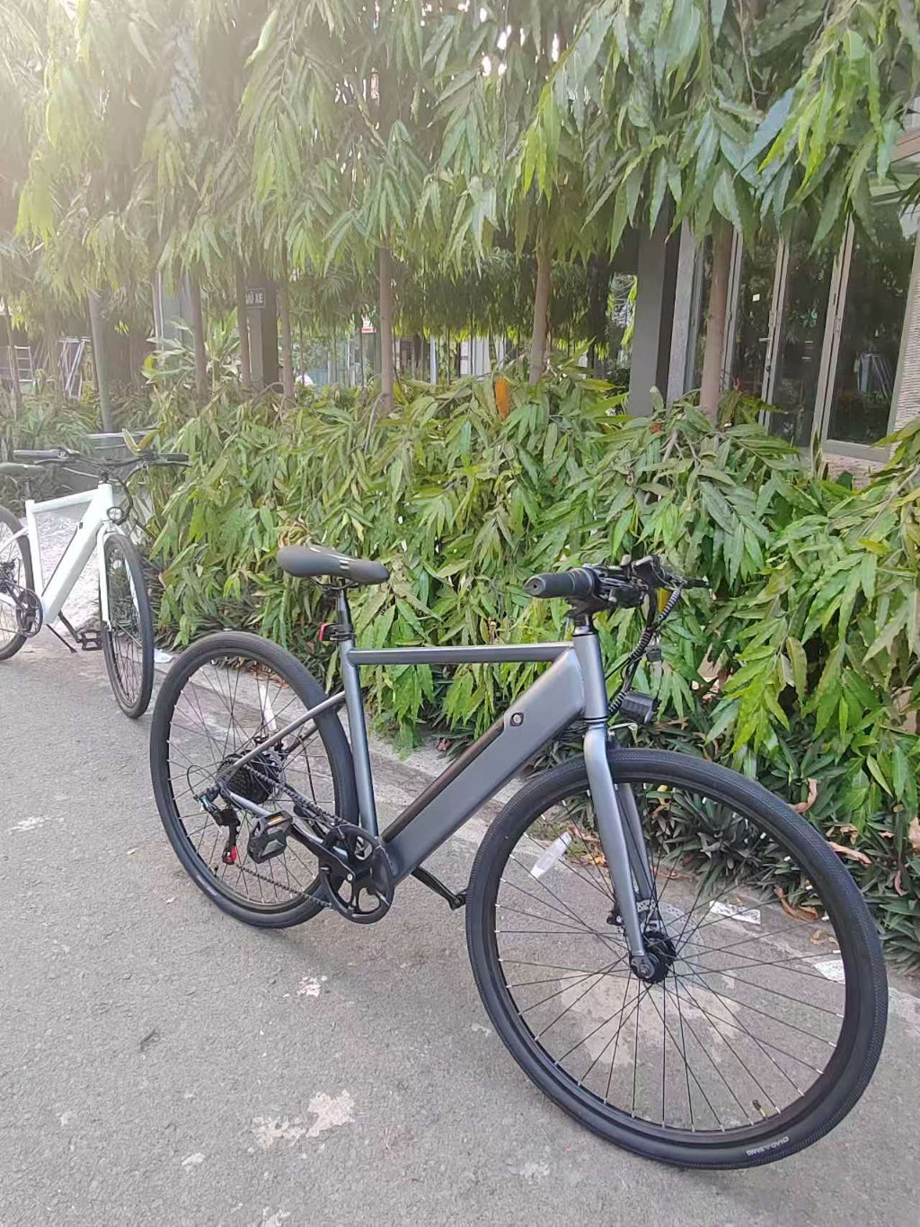 AH-S150-L road ebike