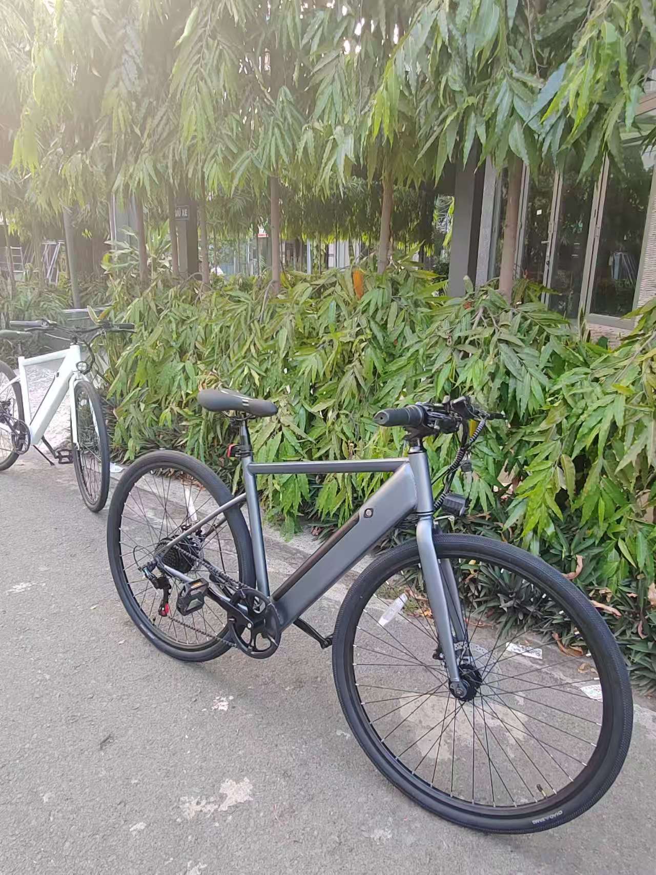 AH-S150-L road ebike