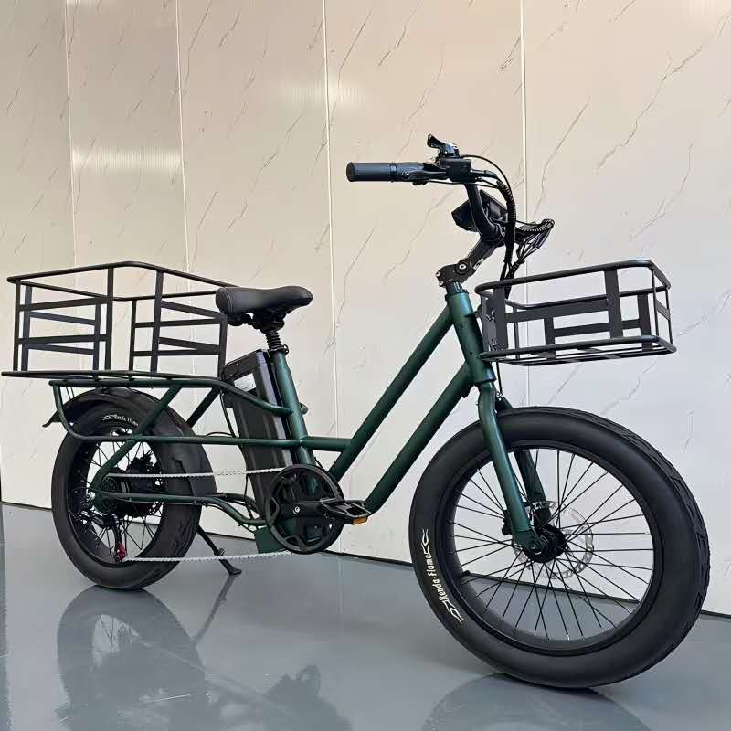 EU  Multi-functional Design Ebike AH  20 Inch K750 20*3.0  KENDA Fat Tire Cargo 48V 20.8Ah 750W Electric Fat Cargo Ebike