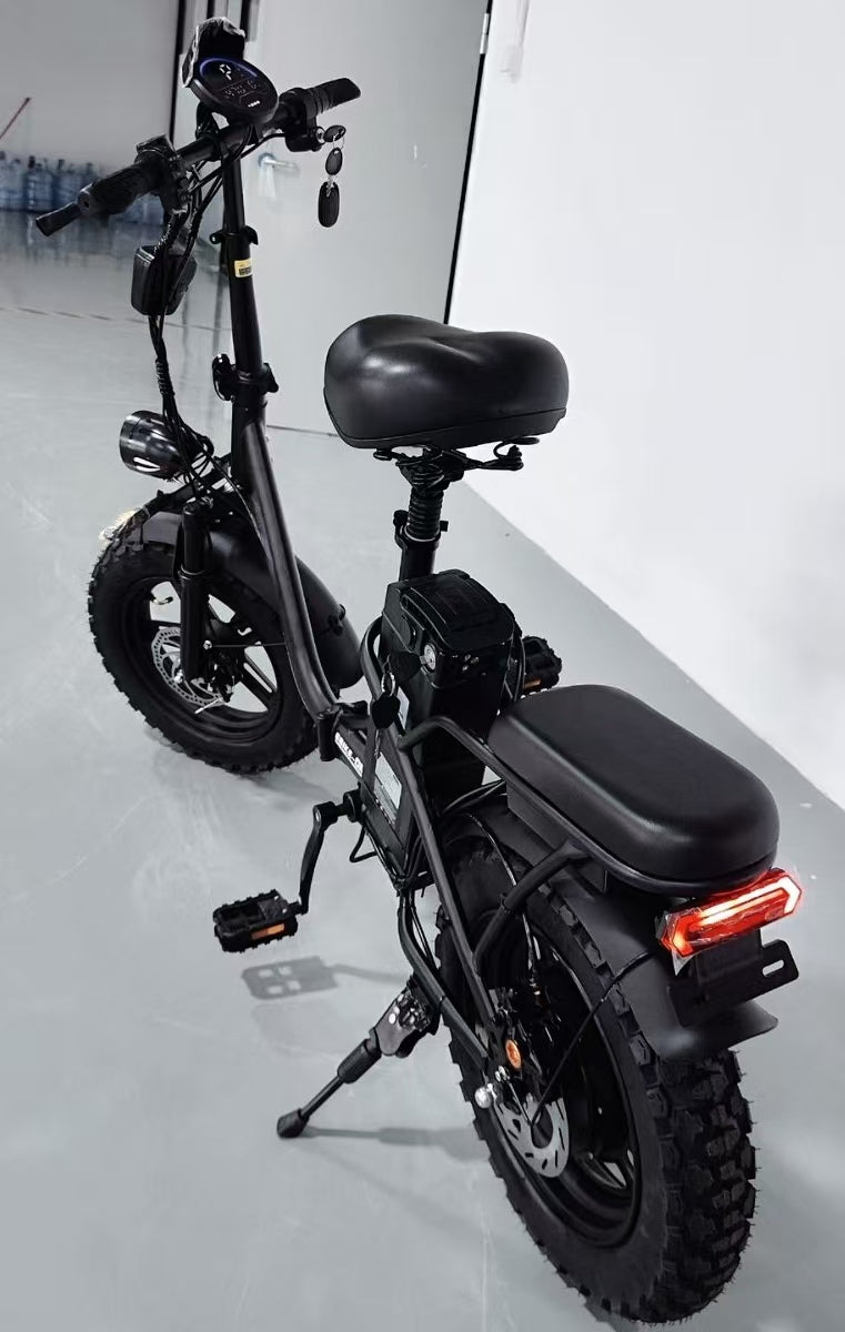 AH-X6 folding ebike popular in US & EU