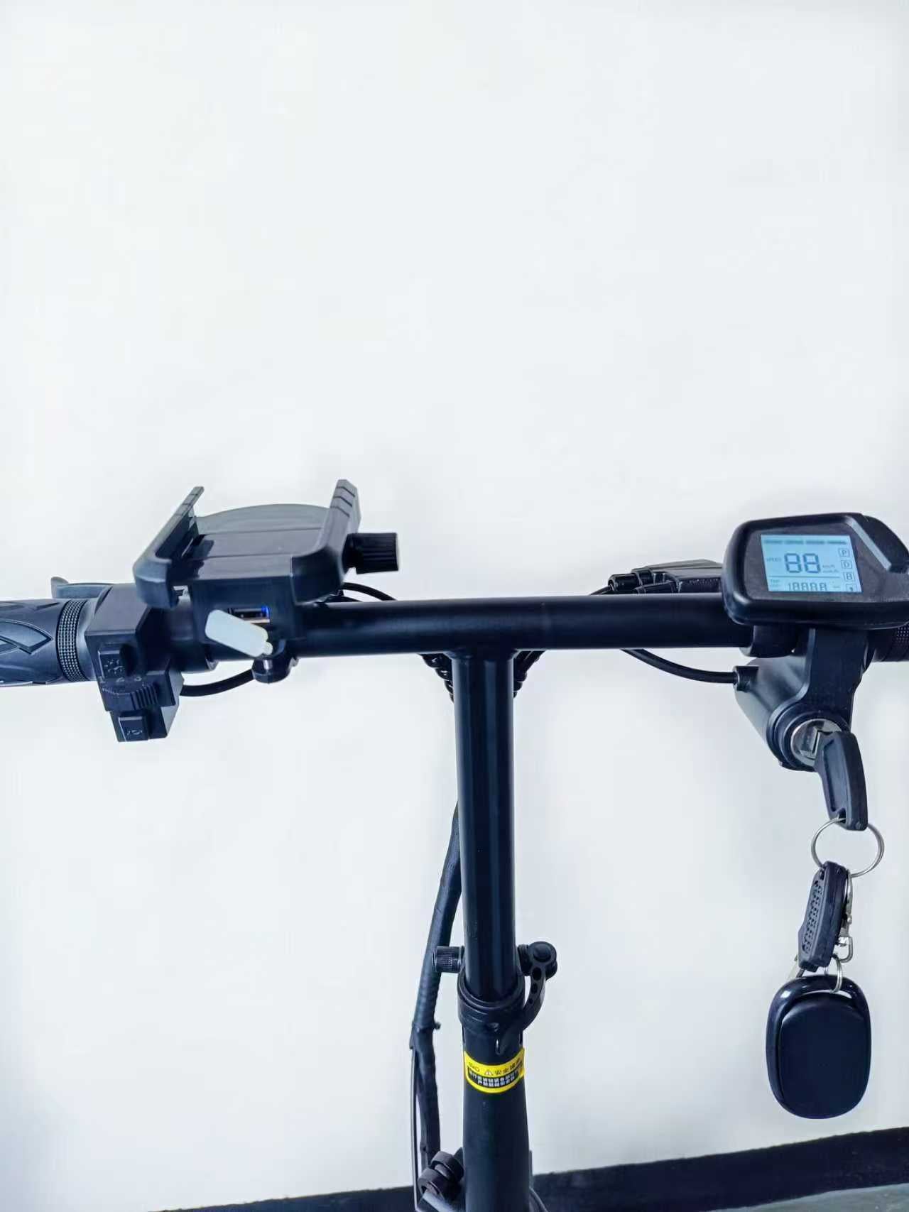 AH-X2  14INCH FOLDING ELECTRIC BIKE FROM CHINA LOW COST