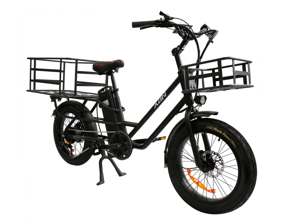 EU  Multi-functional Design Ebike AH  20 Inch K750 20*3.0  KENDA Fat Tire Cargo 48V 20.8Ah 750W Electric Fat Cargo Ebike